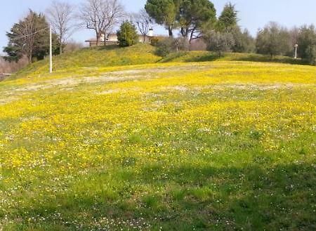 Bed and Breakfast Paglia E Fieno Villaga Zewnętrze zdjęcie