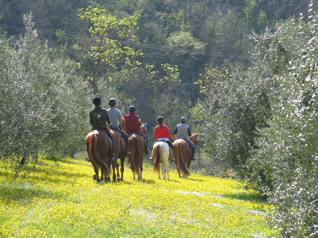 Bed and Breakfast Paglia E Fieno Villaga Zewnętrze zdjęcie