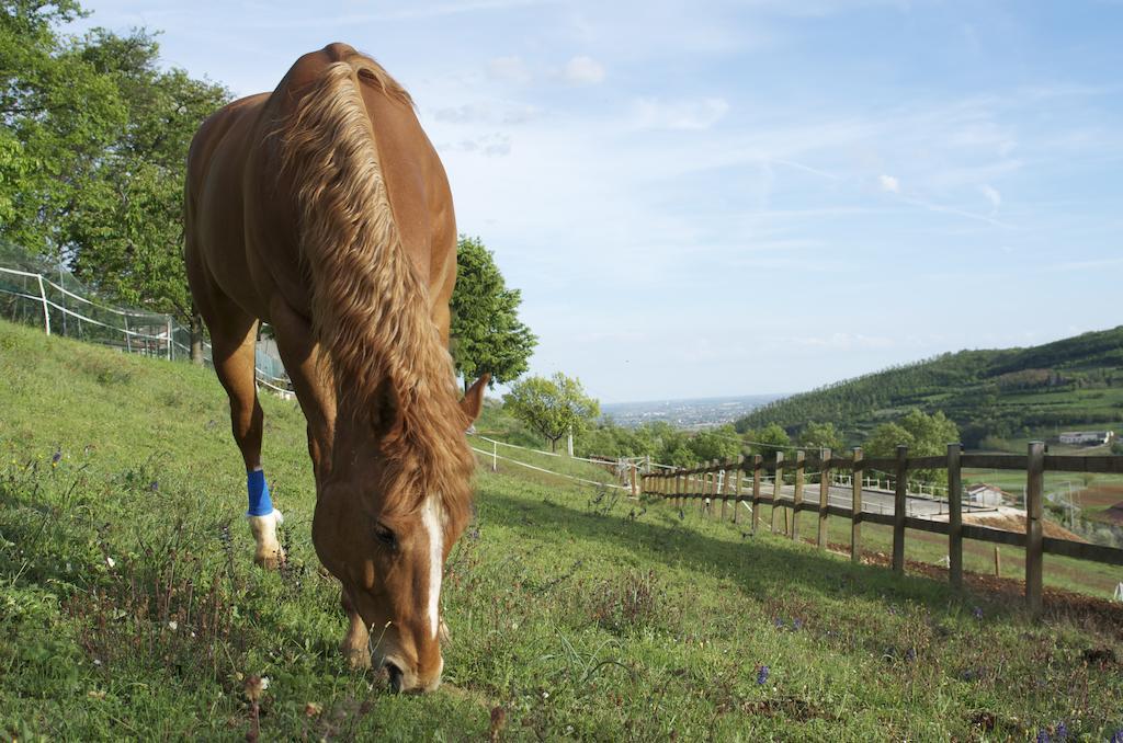 Bed and Breakfast Paglia E Fieno Villaga Zewnętrze zdjęcie